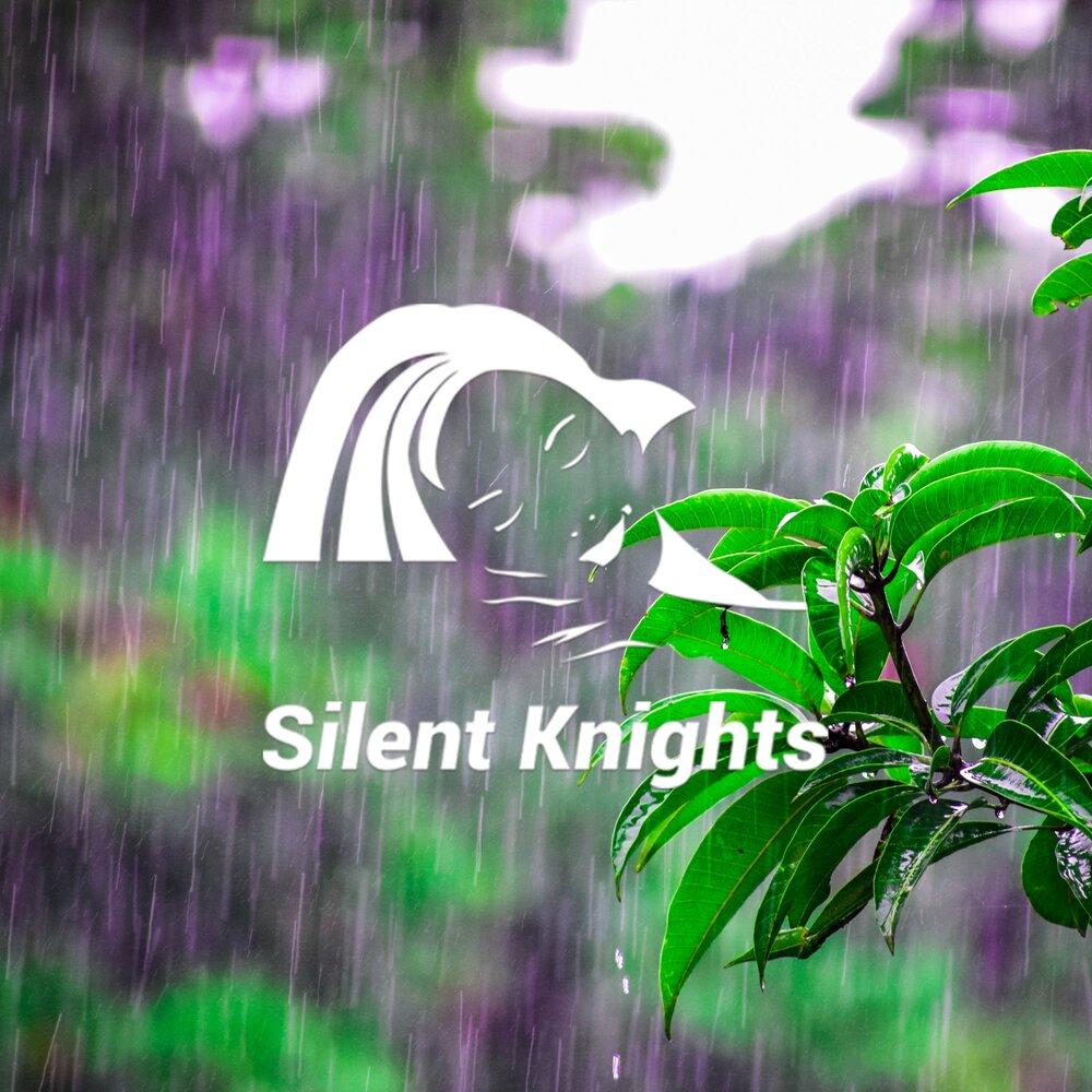 Spring Noise. Silent rain