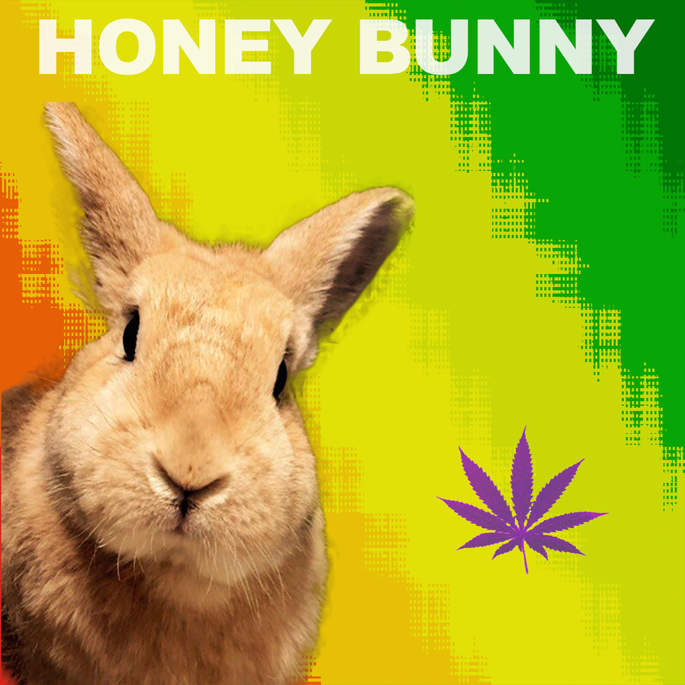 Bunny музыка. Ханни Банни. Honey Honey Bunny. Honey Bunny магазин. Honey Bunny ФД.