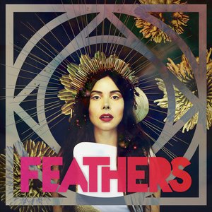 Feathers - Dark Matter
