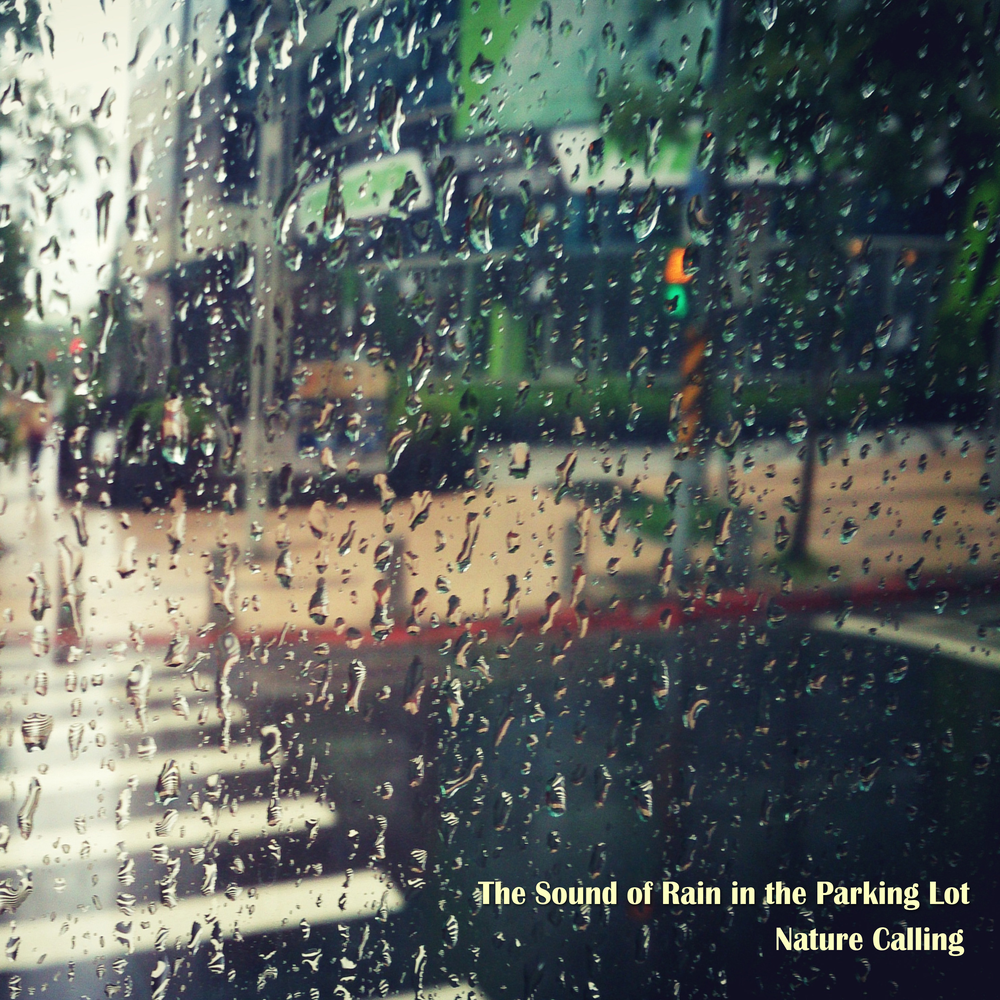 Calling in the rain. Park in the rain.