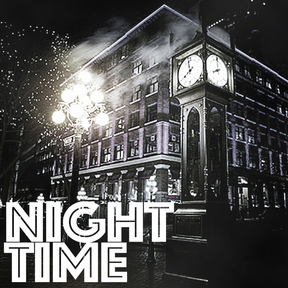 At night или in night. Студия music soul. The heat of the night. In the night time. The curious incident of the dog in the night-time читать на английском.