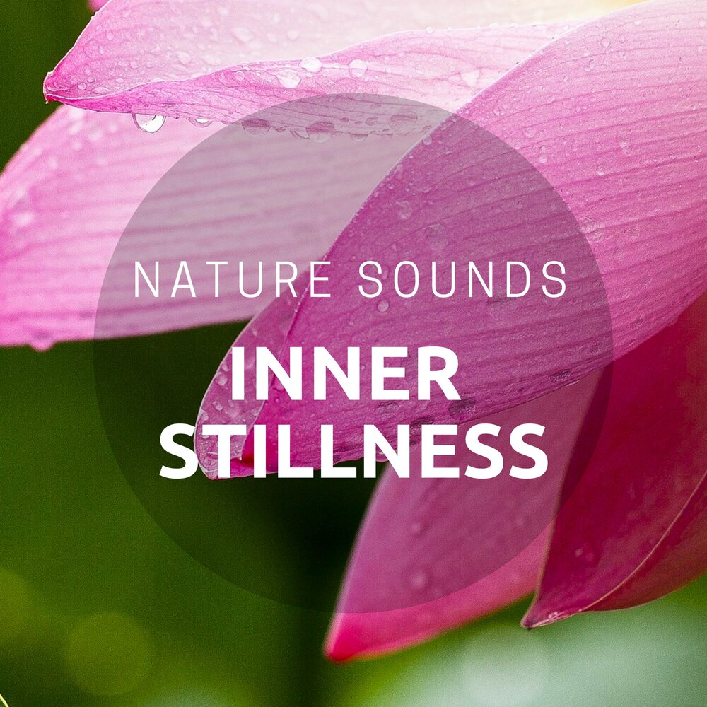 Nature voice. Sound of Inner Peace.