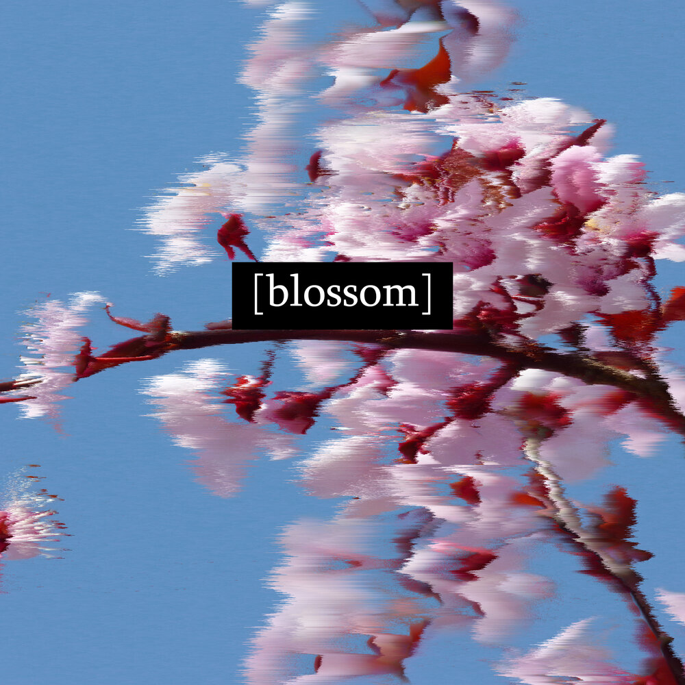 Blossoms тексты. Слово Blossom. Blossom i believe.