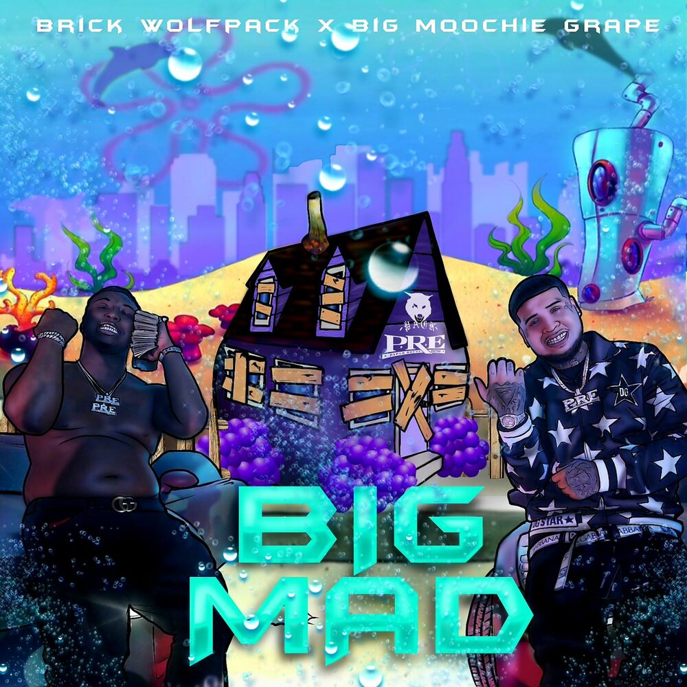 Big mad. Мад БРИК. Mad Brick. Биг Мад Шад.