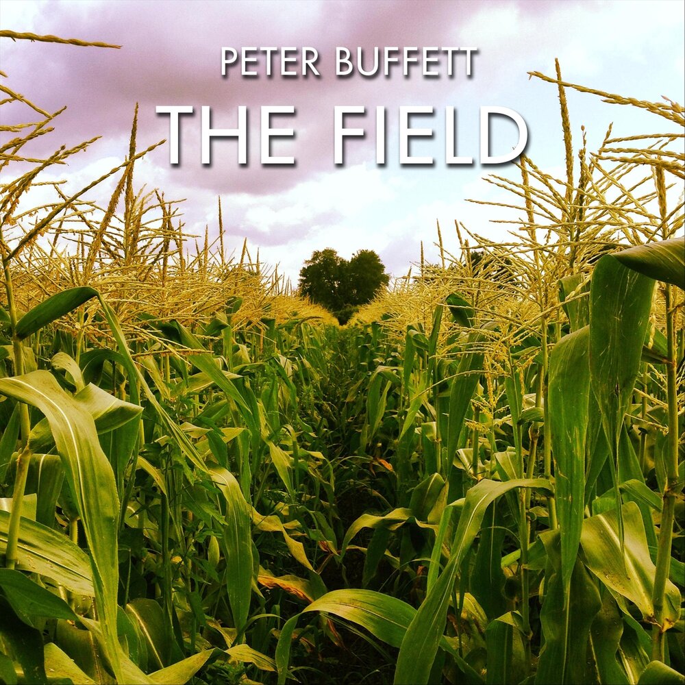 Fields mp3. Питер Филд. Field.