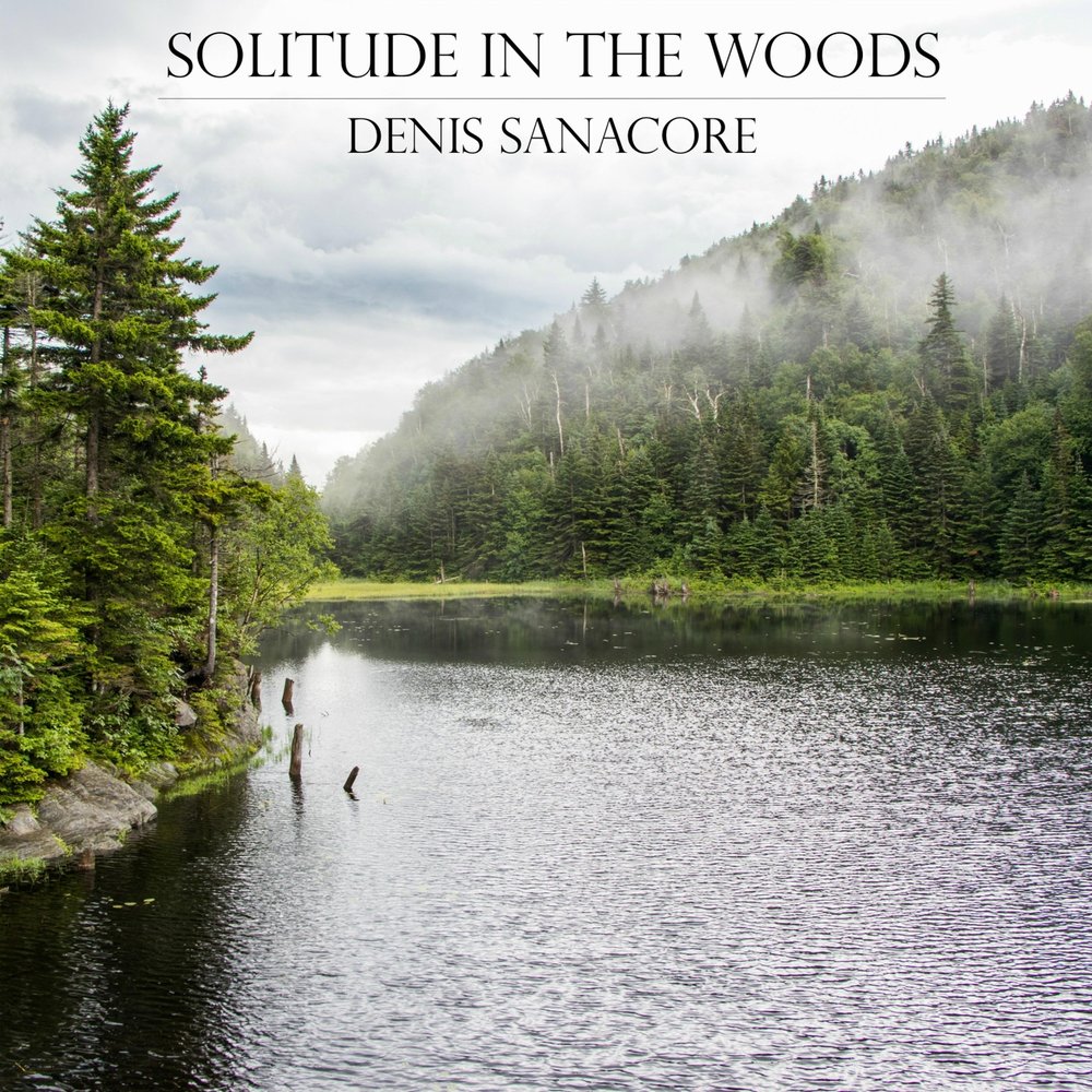 Woods lyrics. In Solitude. In Solitude Череповец. Songs of Woods. Marc Jungermann Solitude Kbps.