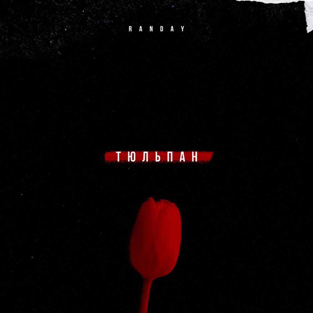 репетиция весны в аптекарском огороде. тюльпан песня слушать. тюльпан песня слушать. парк эмирган фестиваль тюльпанов. картинка тюльпан плачет.