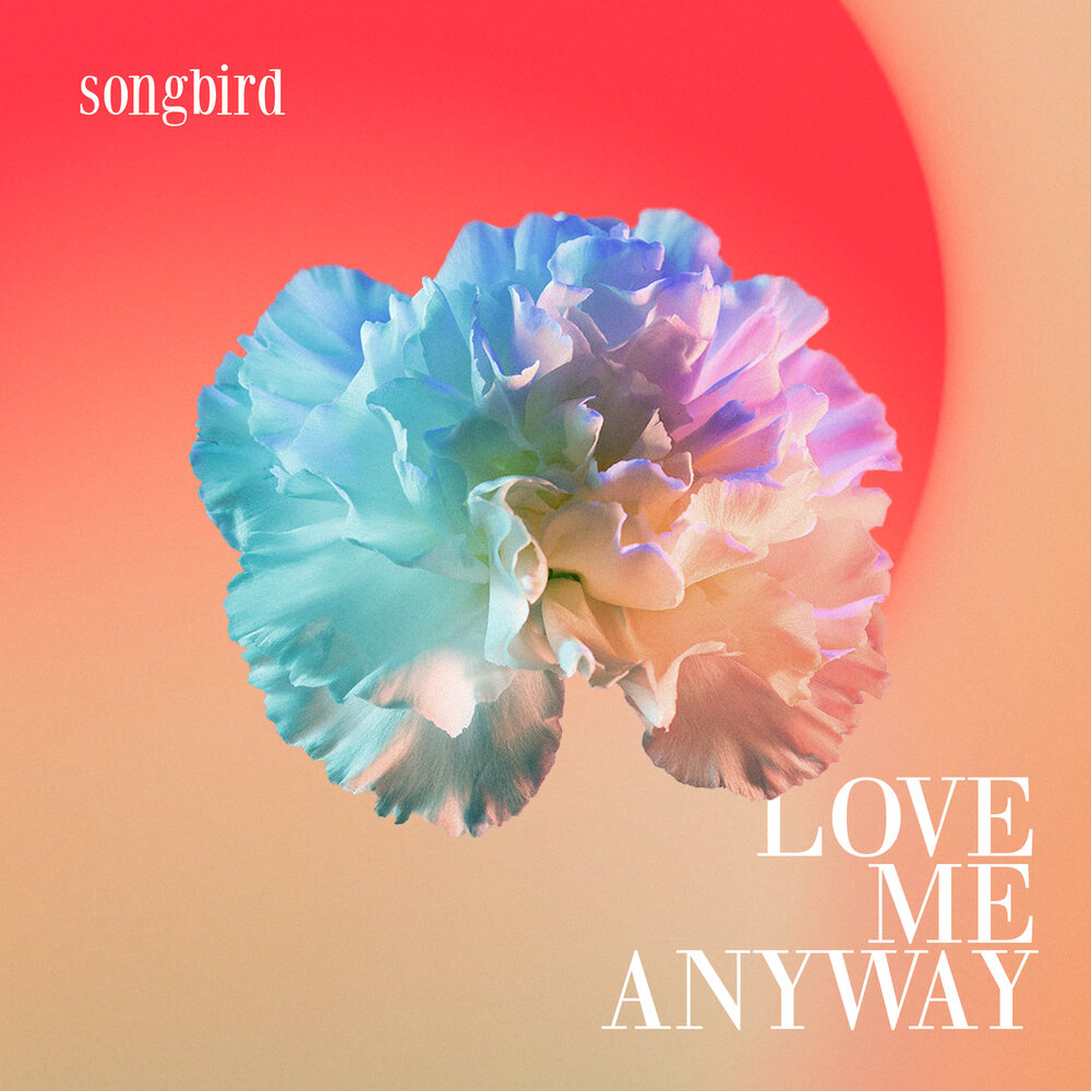Love me. Pink love me anyway. Love me anyway. Love me anyway. Love me anyway.