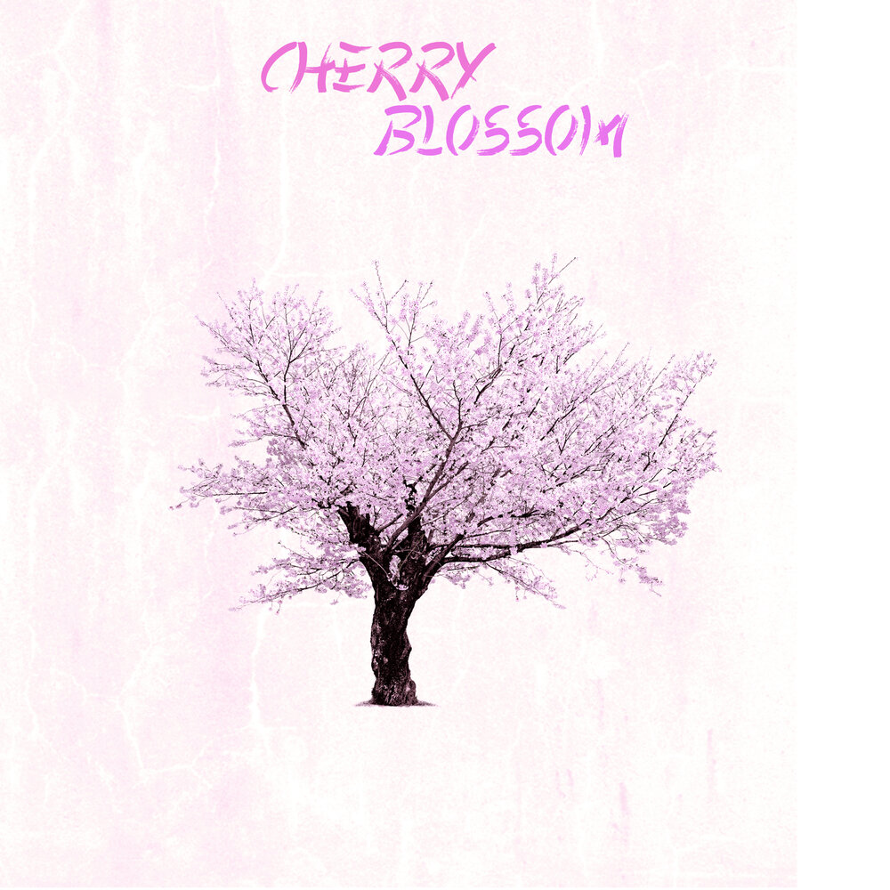 Cherry blossoms текст. Cherry blossoms текст. Cherry blossoms текст. Хокку мацуё басё. Not spring, love, or cherry blossoms.