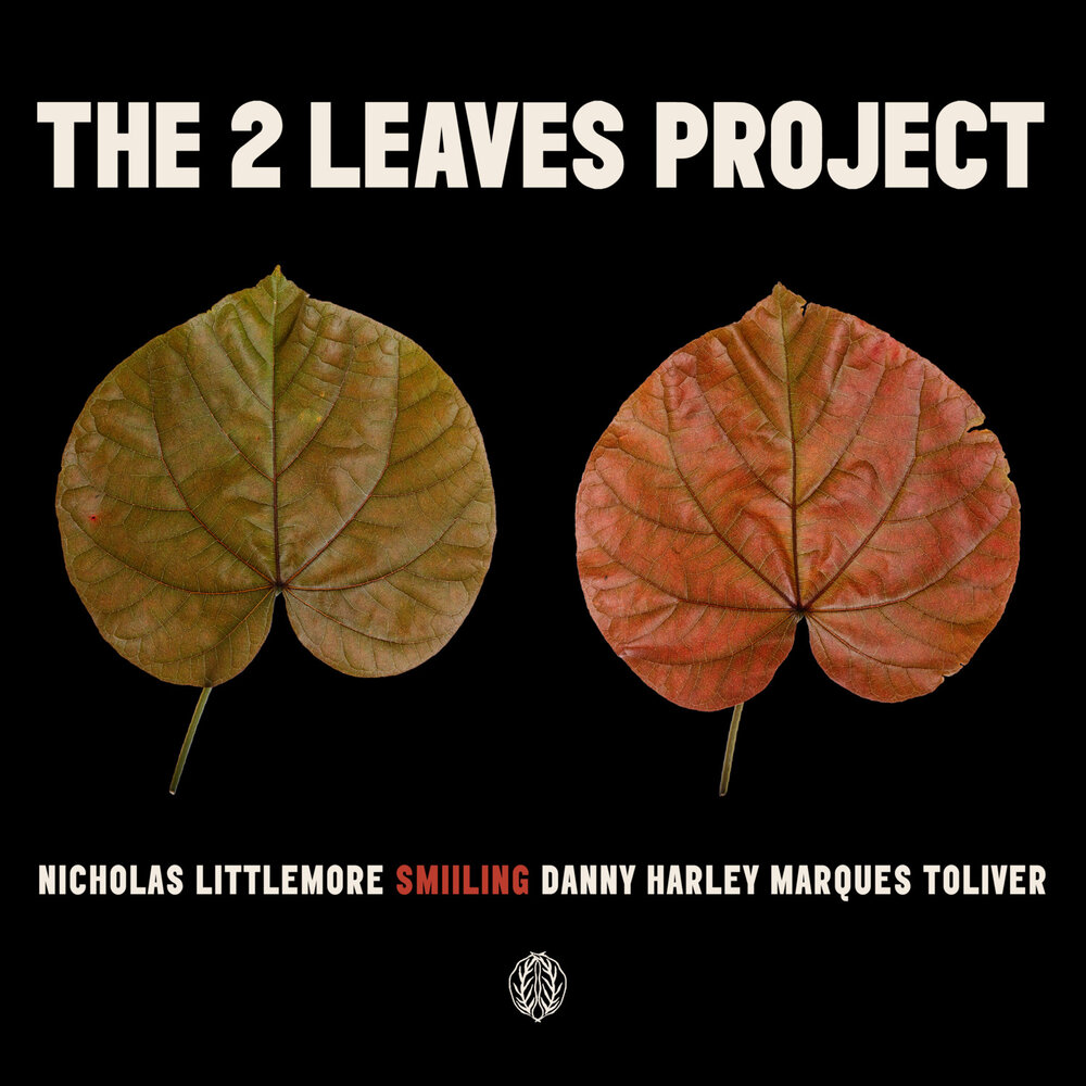 Leaves Project. Two leaves. Two Leaf realistic.