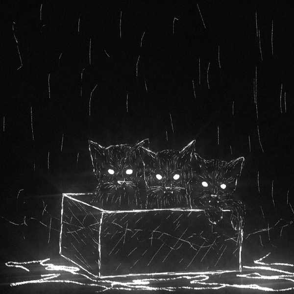 track-cover