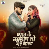 artist-cover
