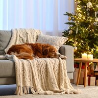 Ritmos suaves y serenos