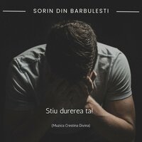 Sorin din Barbulesti