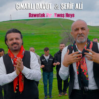 artist-cover