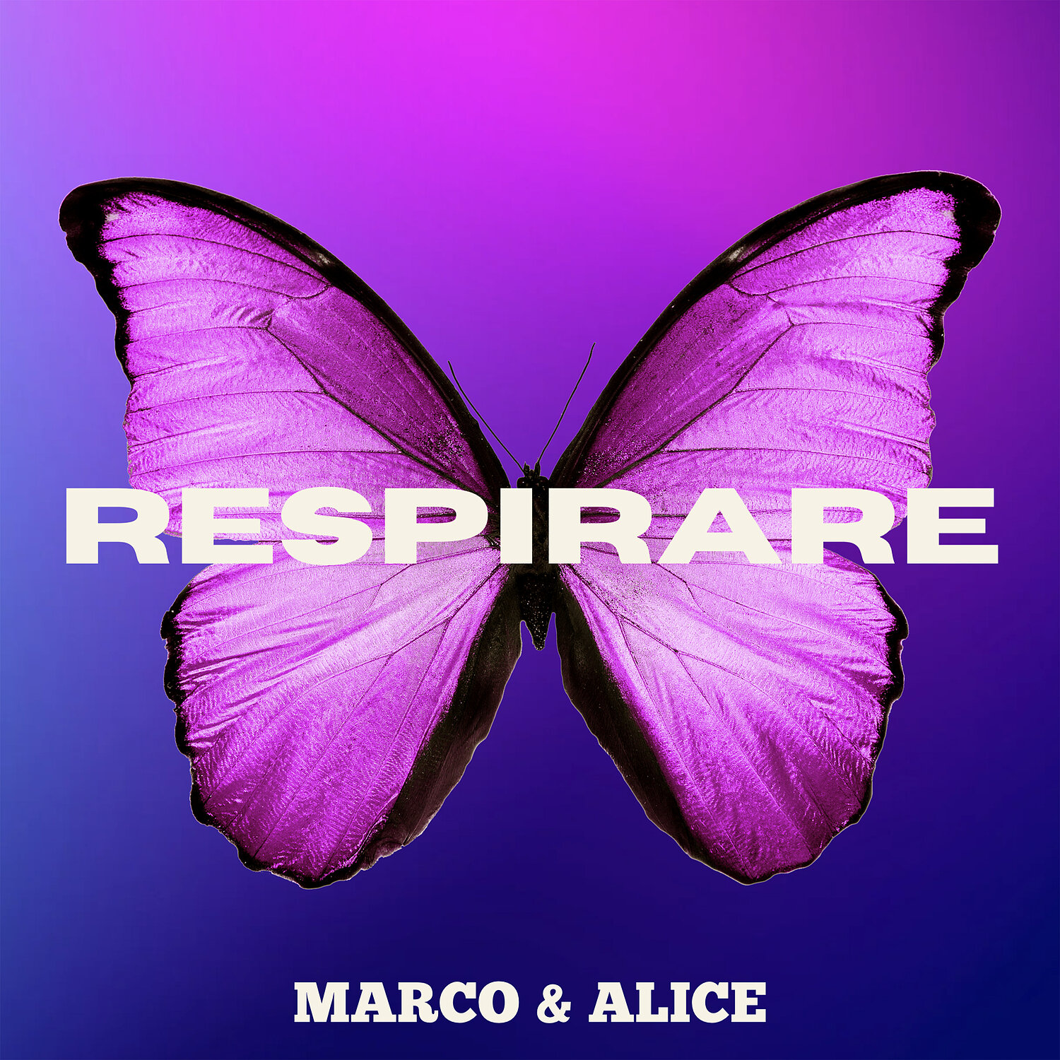 Обложка релиза Respirare