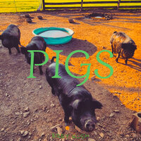 artist-cover