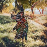 artist-cover