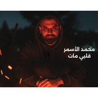 artist-cover