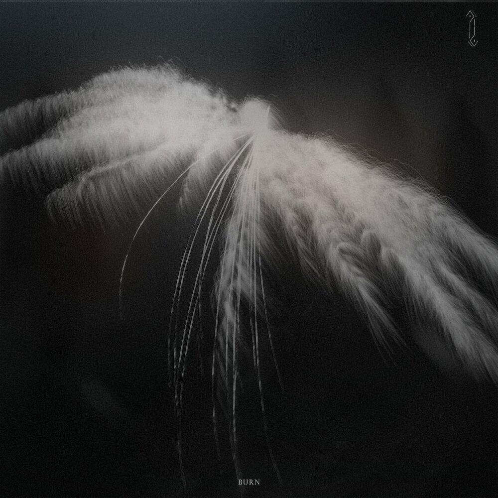 YandexMusic profile picture