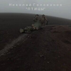 Птицы