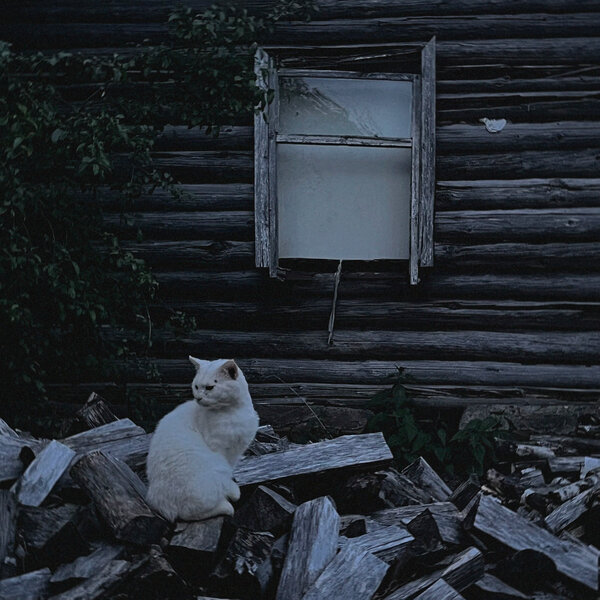 track-cover