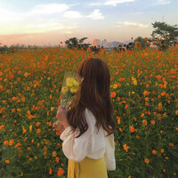 Hoanh