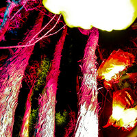 artist-cover