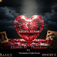 artist-cover