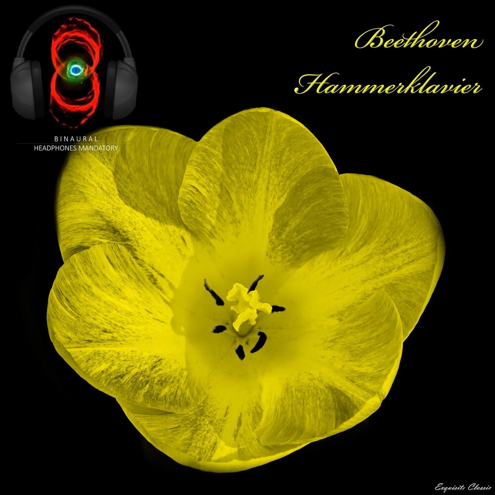 YandexMusic profile picture