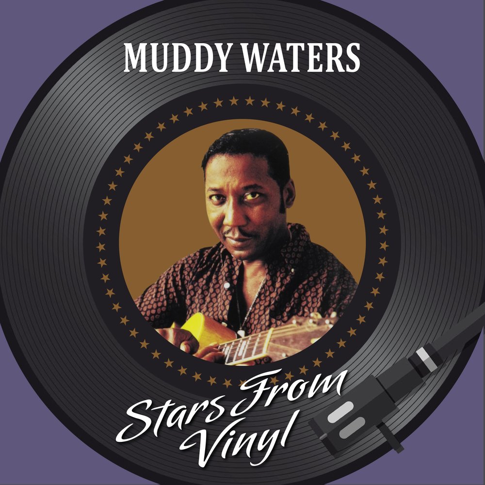 Muddy waters. Muddy Waters the Anthology. Muddy Waters - the Anthology (1947–1972). Waters, Muddy the best of Vinyl.