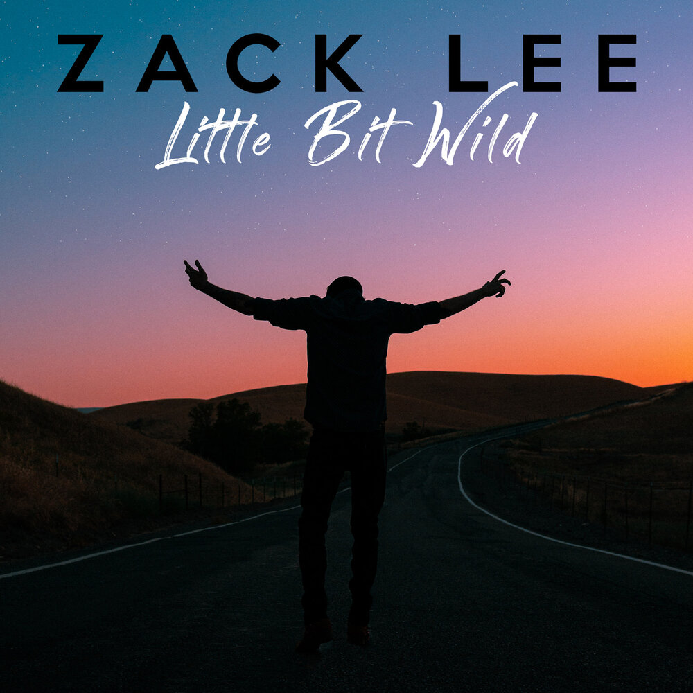 Bit wild. Zack Lee. Зак ли. Zac Wild.