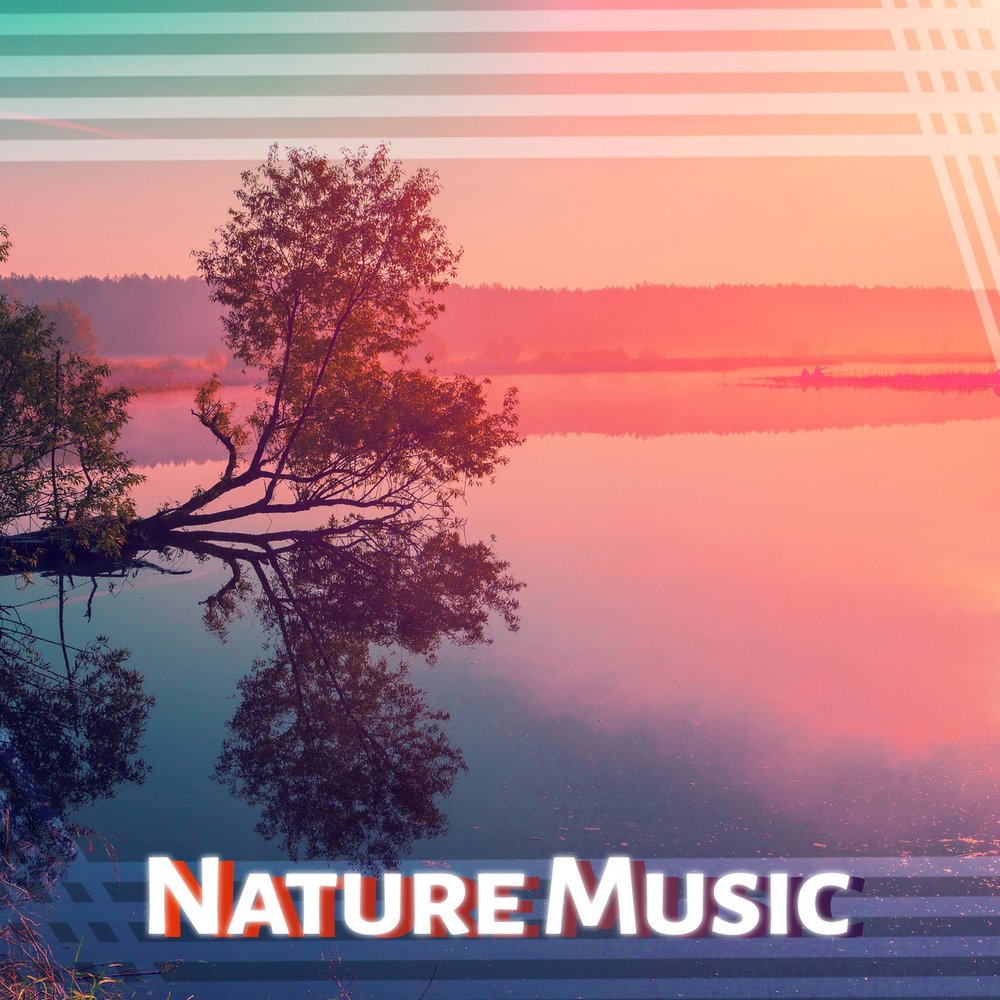 Nature zones. Quiet Noisy. Echoes of nature Ocean Waves. Quite Noise Запорожье. Quiet Noise Studio is.