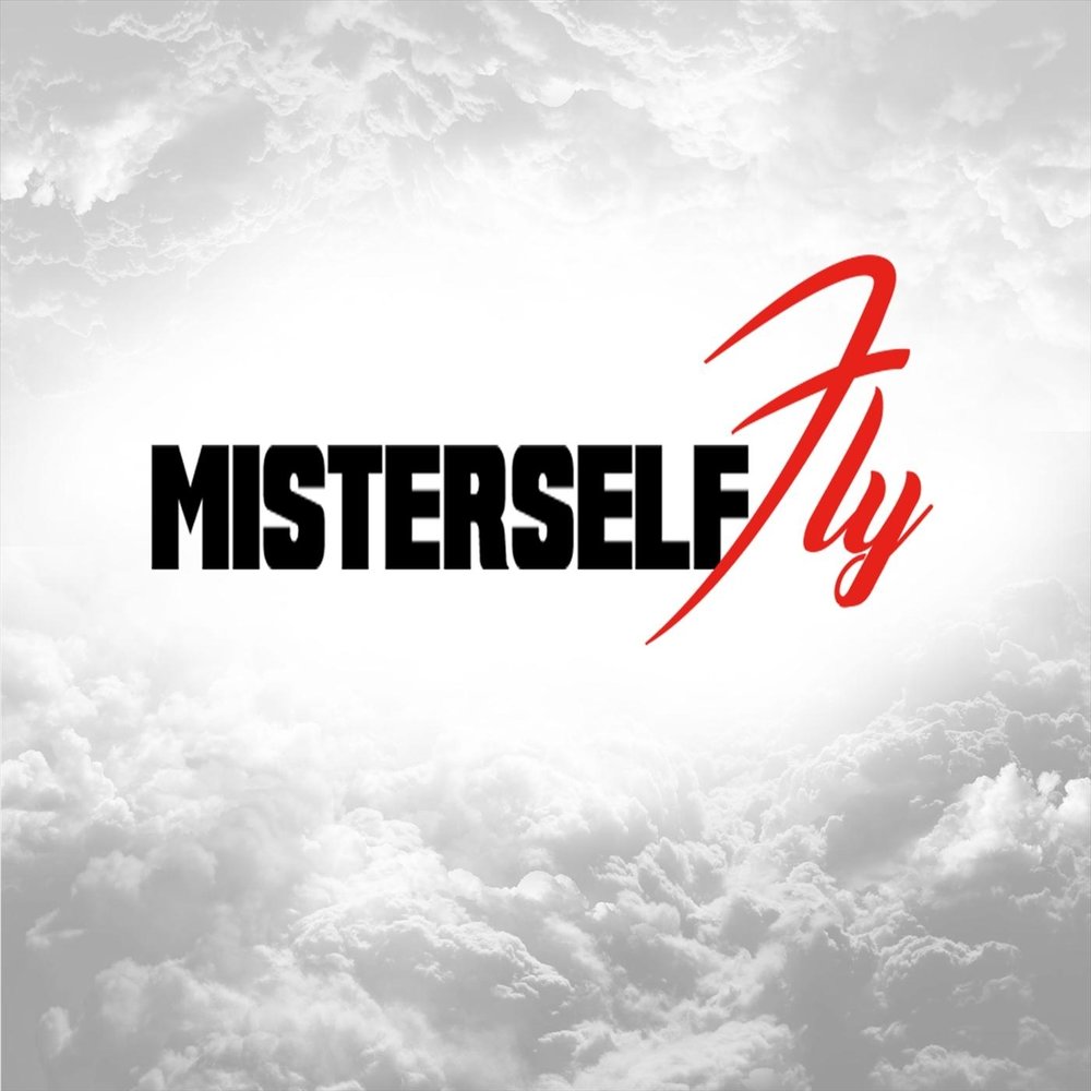 Enter self. Mister Fly. Fly 2018.