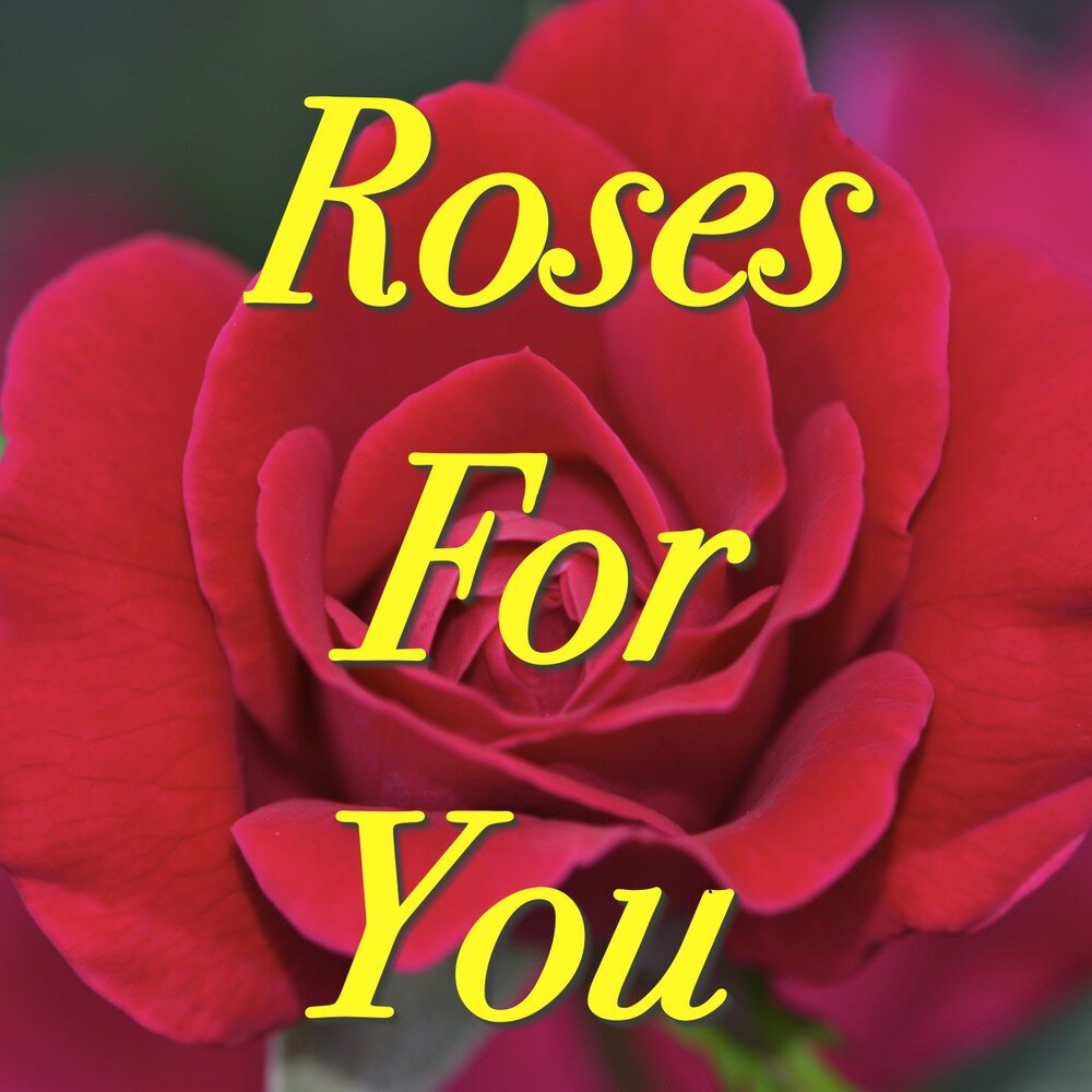 Rose compilation. Роза i for you. Roses песня. Roses for you. Диана розы альбом.