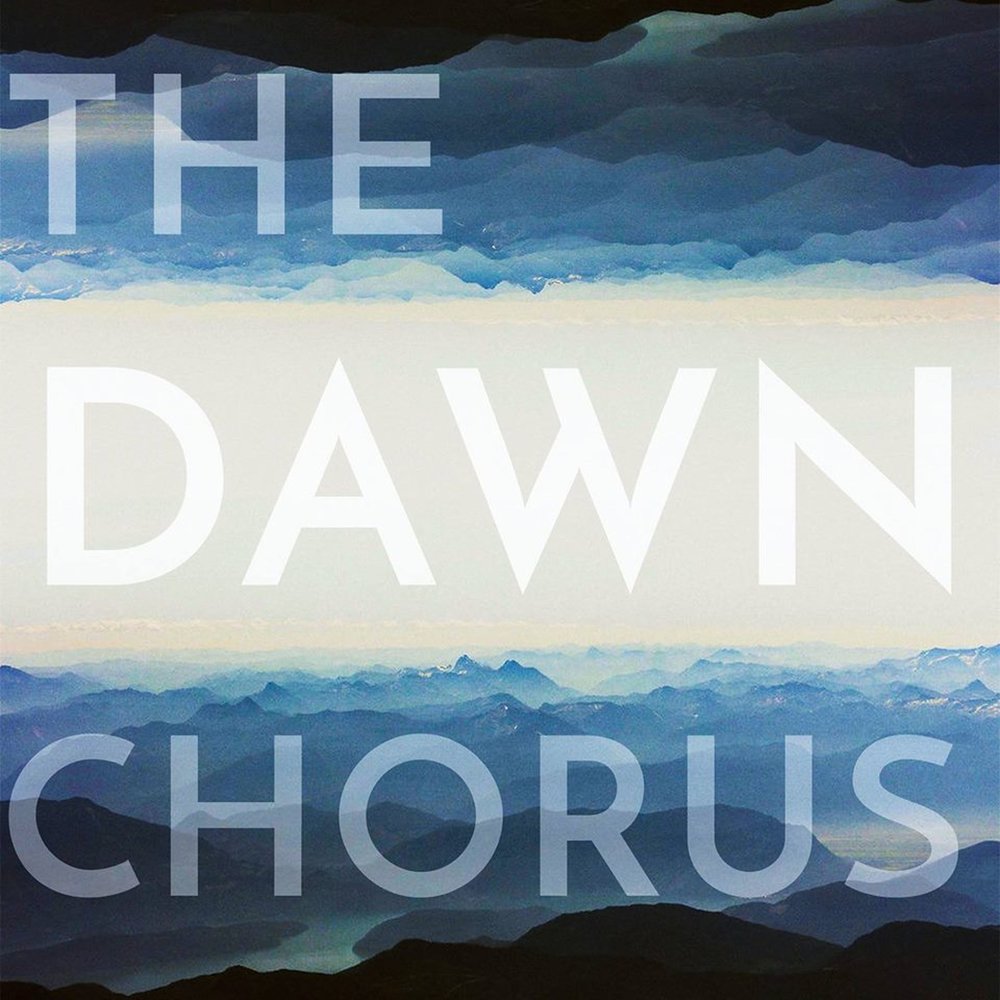 Dawn chorus mikko. Dawn chorus devon. Chorus down. Chorus down. Dawn chorus арво.