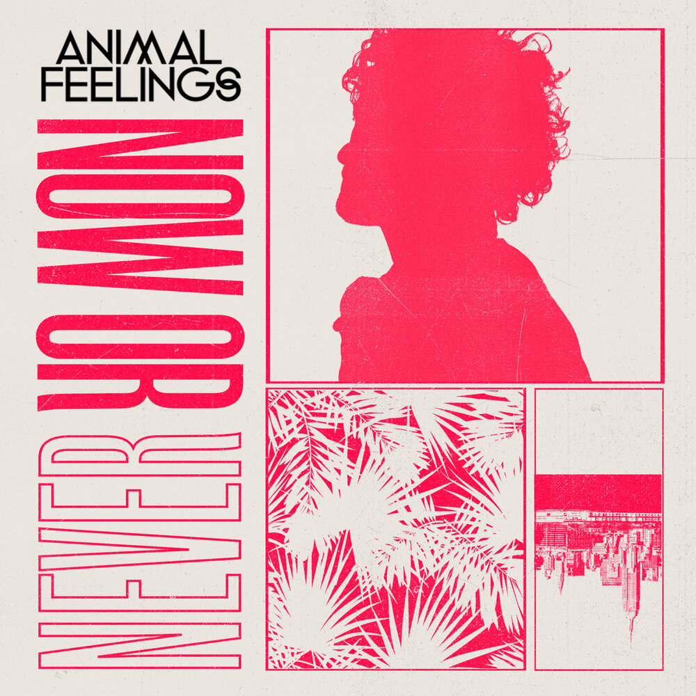 Feeling now песня. Animals feelings.