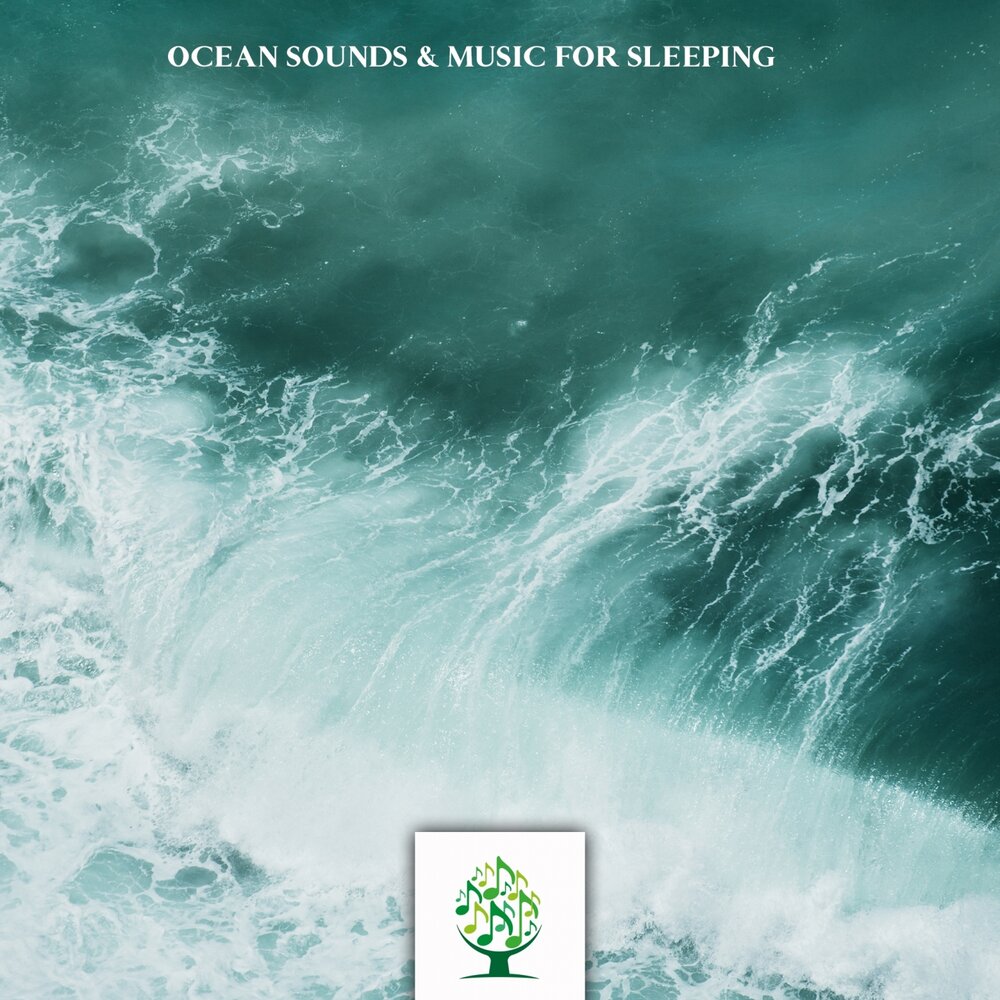 5. Sea-pro t9. Sea 2. Sea pro f9. Wuthering waves.