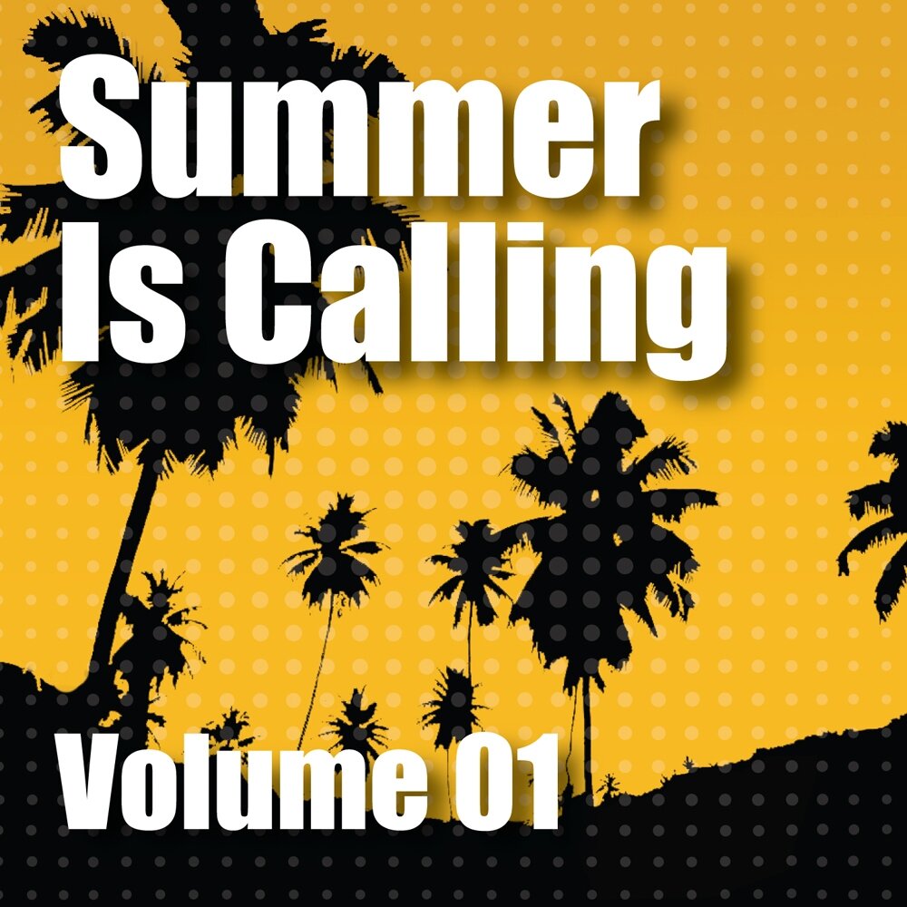 Last call summer. Summer calling. Summer is calling. Various artist Summer альбом. Skyover.