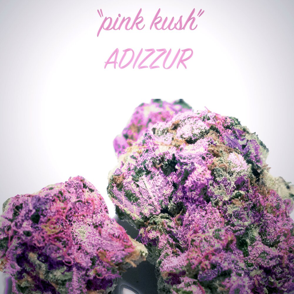 Pink Kush. Новый альбом Pink. Пинк куш описание. Pink Kush pattern.