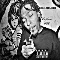 artist-cover