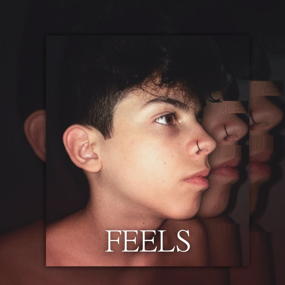 Песня the feels. Фото с именами альбома the feels.