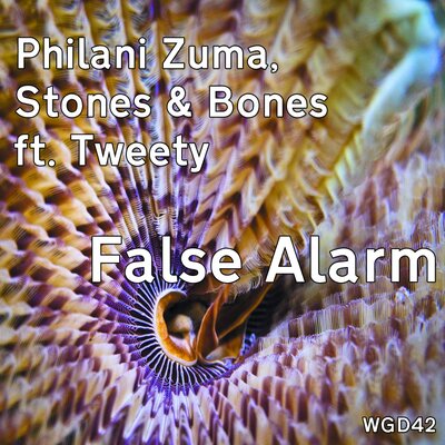 False Alarm (Zuma's Afro Intentions)