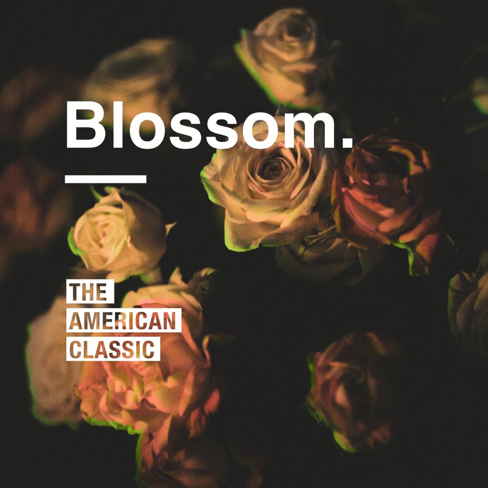 Blossoms слушать. Blossoms слушать. Remix blossom перевод. Blossoms band logo. Scarlett blossom.