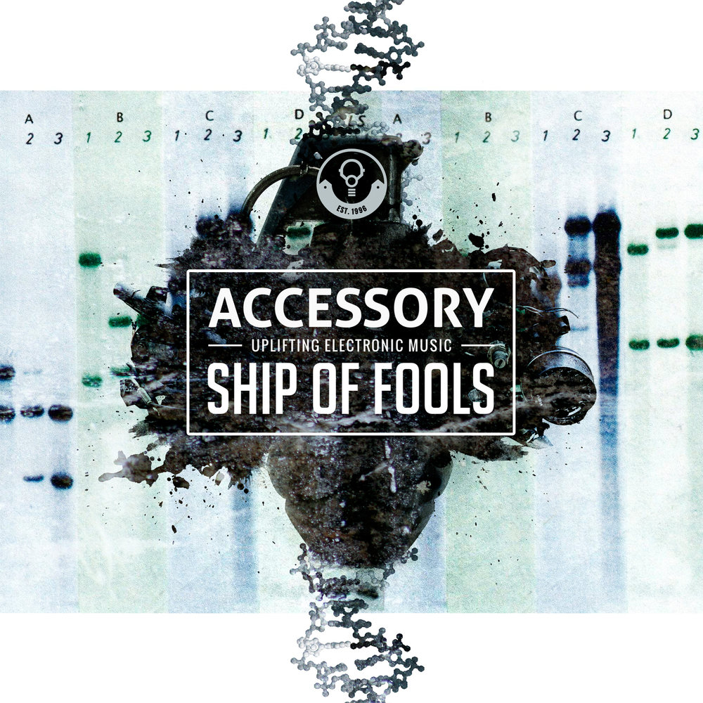 Fools remix. Ship of Fools. Ship of Fools игра. Ship of Fools стим. Ship of Fools все птицы.