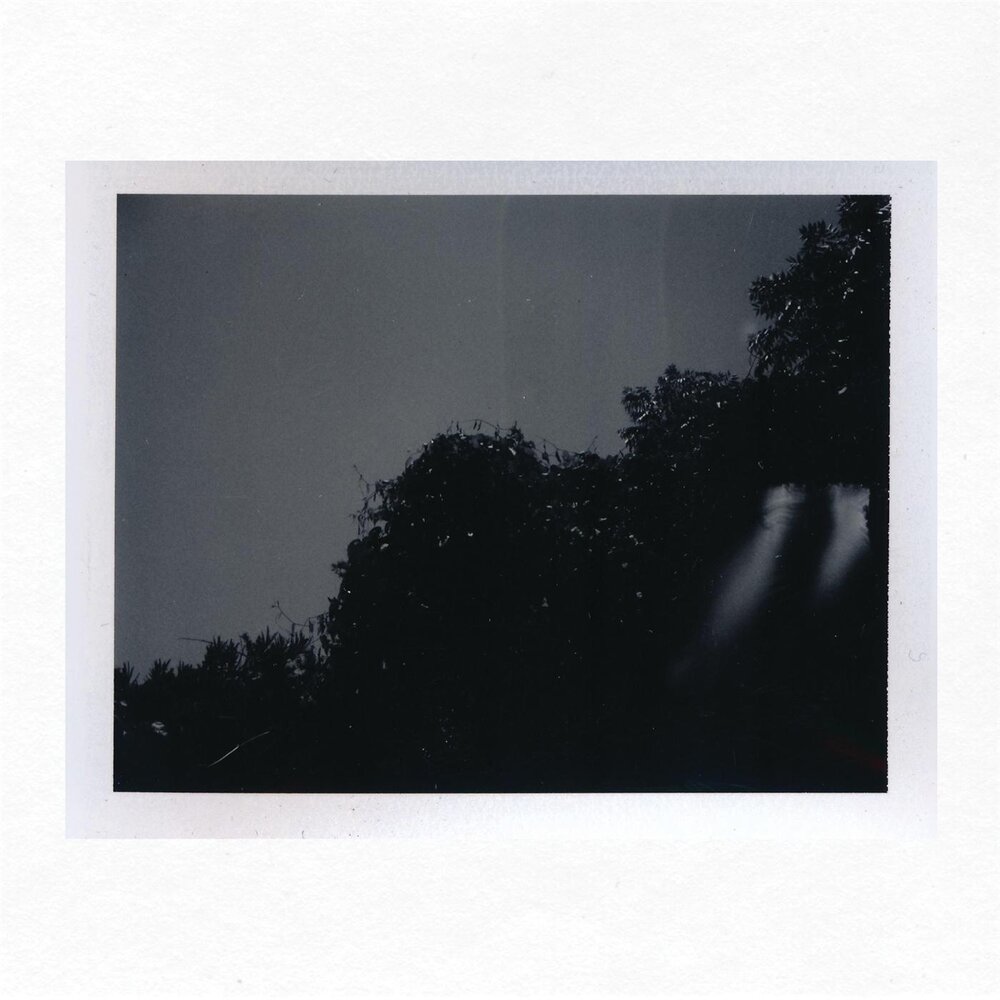 YandexMusic profile picture