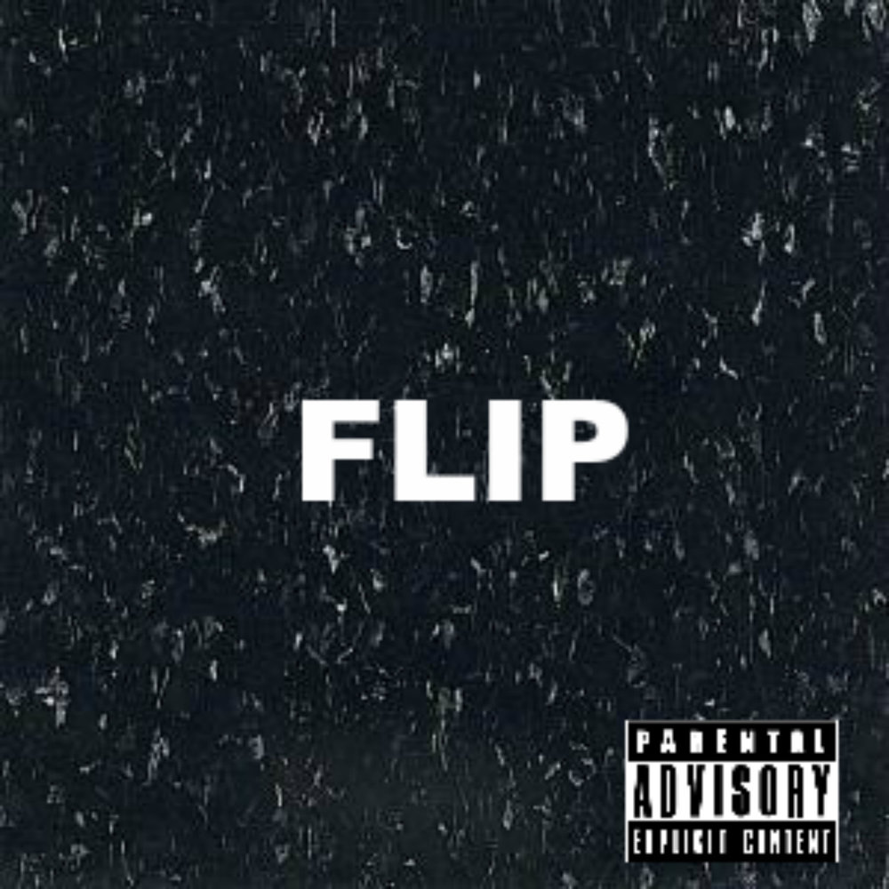 Песня Flip. Flip that album обложка. Flip that album.