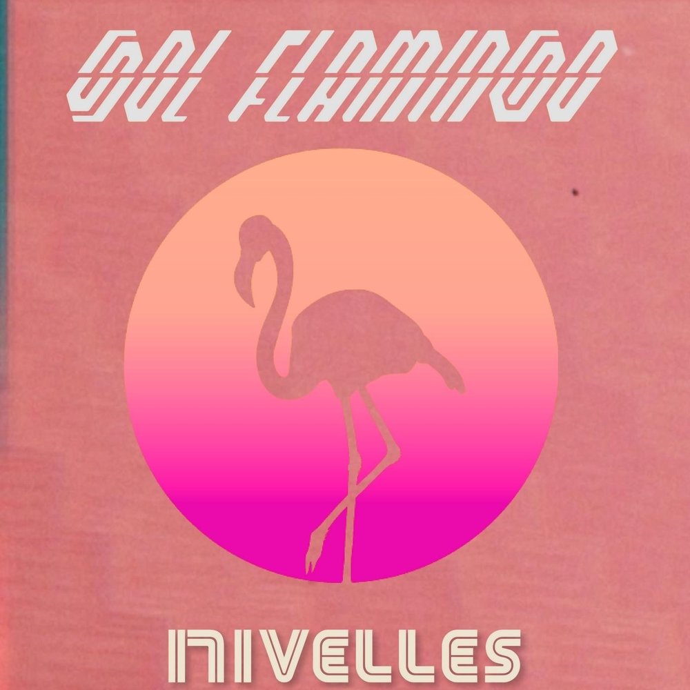 Слушать песню фламинго. Розовый Фламинго дитя заката. Песня розовый Фламинго дитя заката. Розовый Фламинго дитя заката текст. Песни розовый Фламинго.