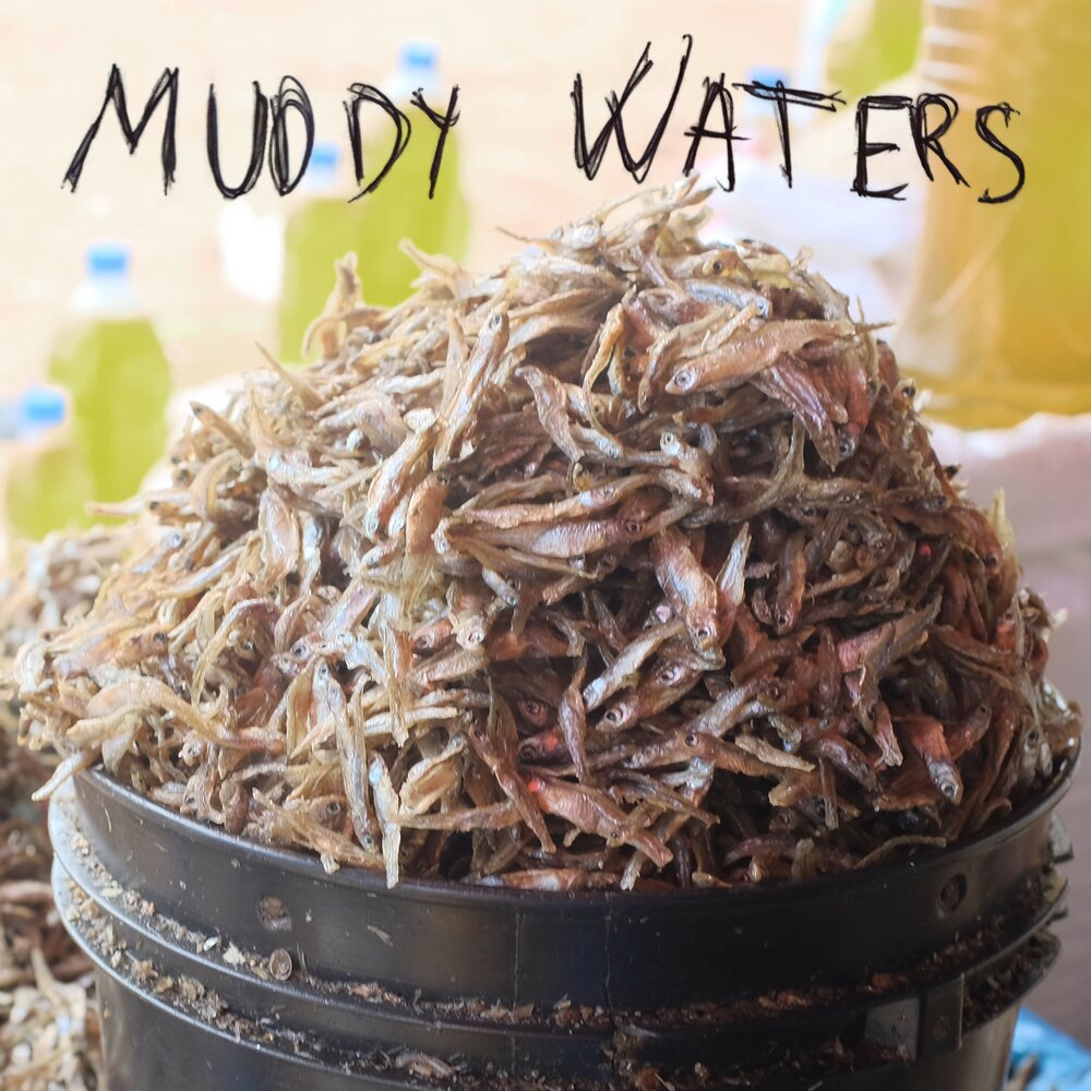 Песня muddy water stray