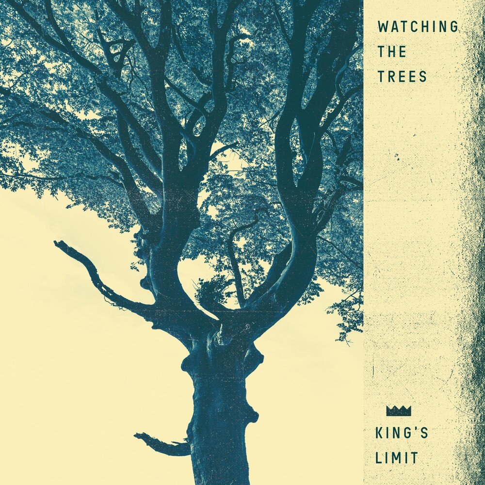 Watching trees. Дерево Кинга. Деревьев исполнитель. Дерево слушает они. Tree Kings Days three Lights glorious.